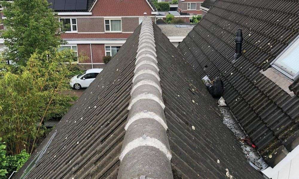 Repareren van nokvorsten in Honselersdijk